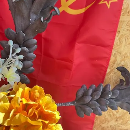 Back To Ussr *