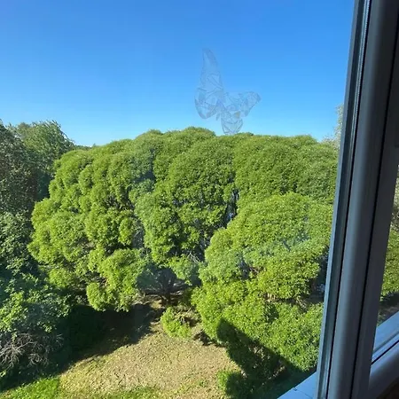 Daire Back To Ussr *